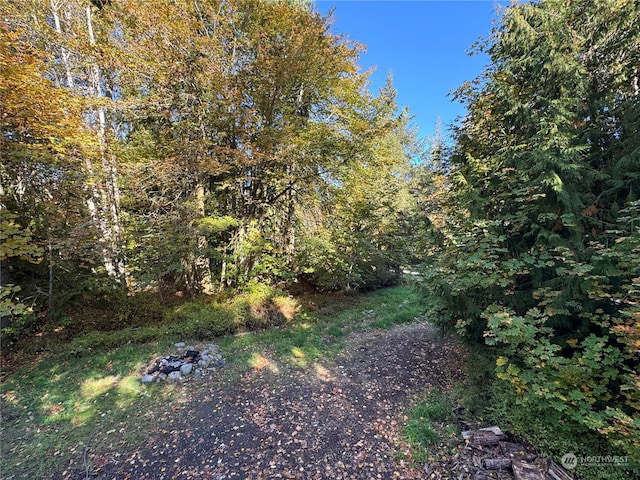 344 Dungeness Mdws, Sequim, WA 98382 - view of yard with a forest view