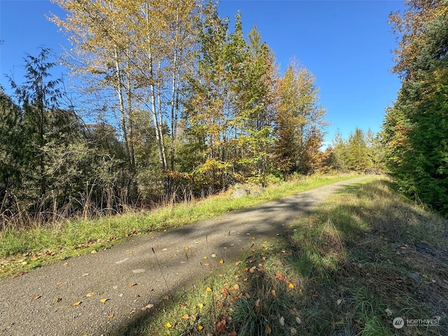 344 Dungeness Mdws, Sequim, WA 98382 - view of road featuring a forest view