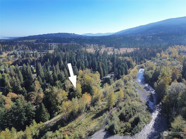 birds eye view of property featuring a mountain view