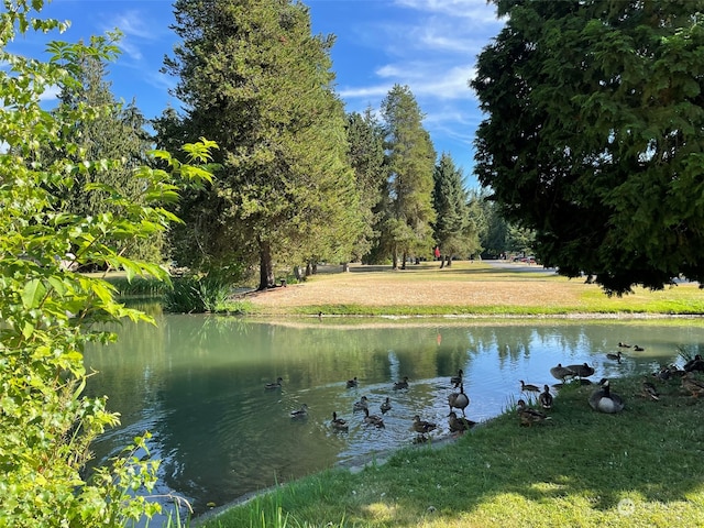 view of water feature