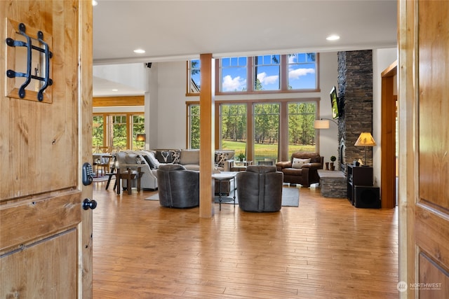 living room with wood-type flooring and a healthy amount of sunlight