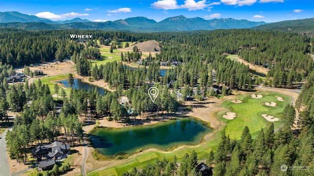 aerial view featuring a water and mountain view