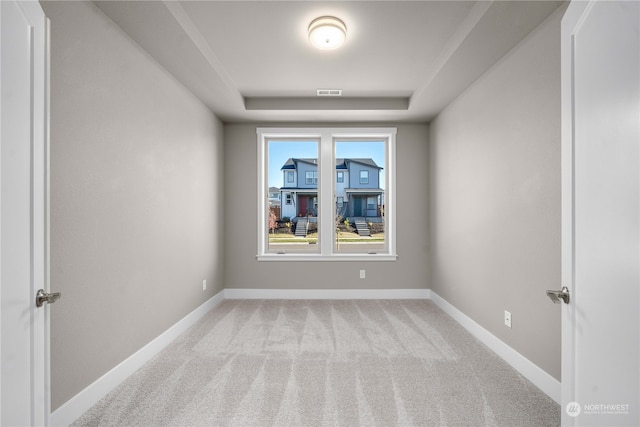 spare room with light colored carpet and a raised ceiling