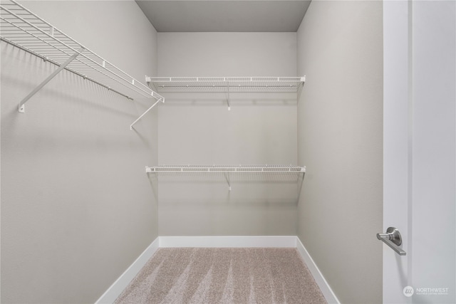 walk in closet with carpet flooring