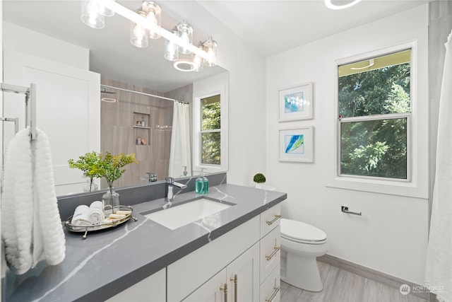 bathroom featuring a shower with shower curtain, wood-type flooring, vanity, and toilet