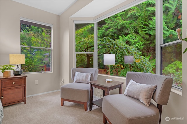 sitting room with light carpet and plenty of natural light