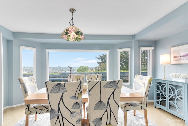 dining area featuring light hardwood / wood-style floors and plenty of natural light