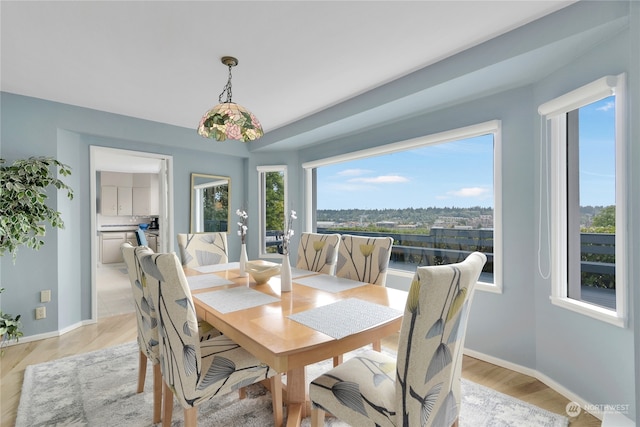 dining area featuring light hardwood / wood-style floors and a wealth of natural light