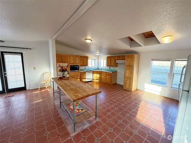 kitchen with vaulted ceiling with beams, a textured ceiling, and appliances with stainless steel finishes