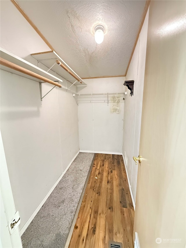 spacious closet with wood-type flooring