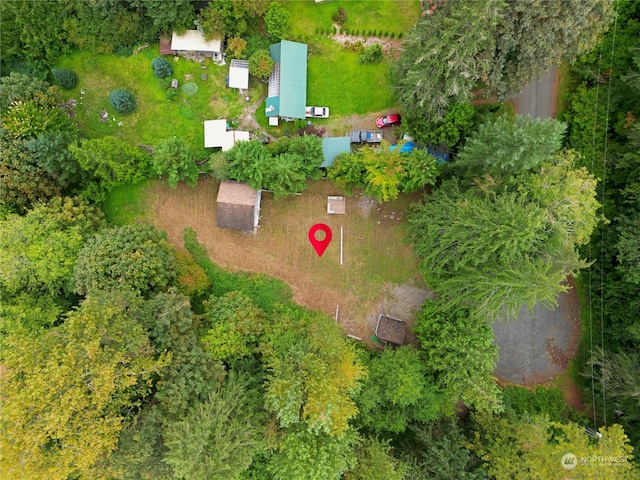 18322 642nd Ave NE, Baring, WA 98224 - drone / aerial view