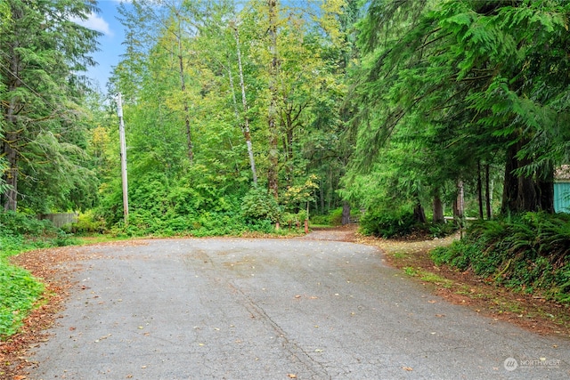 18322 642nd Ave NE, Baring, WA 98224 - view of street