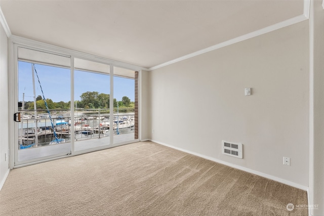 carpeted empty room with ornamental molding and a water view