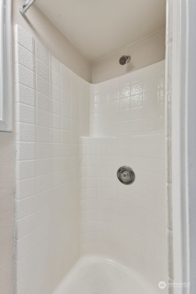 interior details with tiled shower