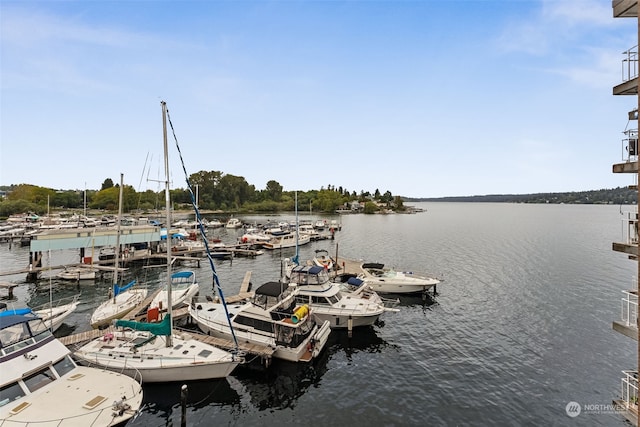 dock area featuring a water view