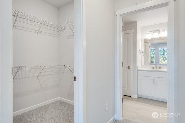 spacious closet featuring light carpet and sink