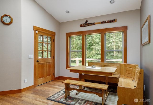 entryway with light hardwood / wood-style flooring, a wealth of natural light, and vaulted ceiling