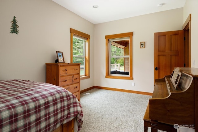 bedroom featuring carpet