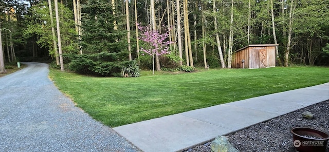 view of yard with a shed