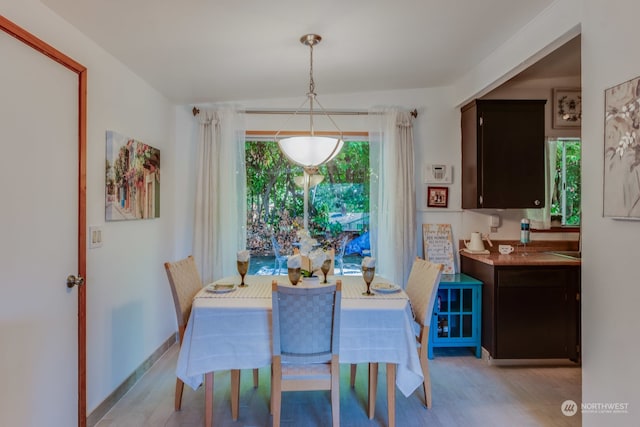 dining area featuring light hardwood / wood-style flooring