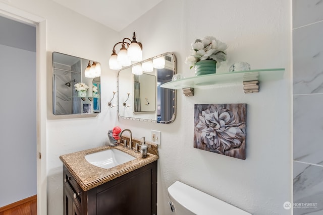 bathroom featuring a shower, vanity, and toilet