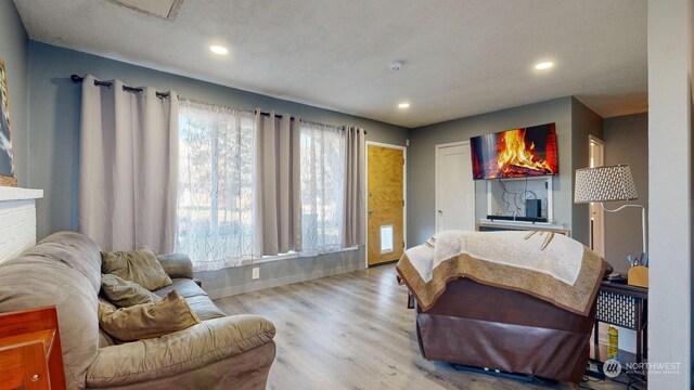 living room featuring light hardwood / wood-style floors