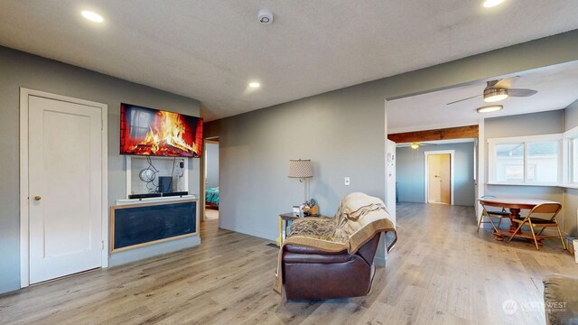 living room with ceiling fan and light hardwood / wood-style flooring