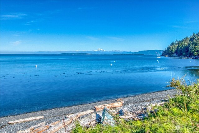 346 Raccoon Point Rd, Orcas Island, WA 98245
