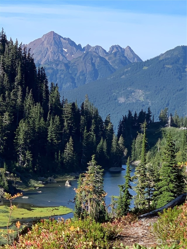 mountain view featuring a water view