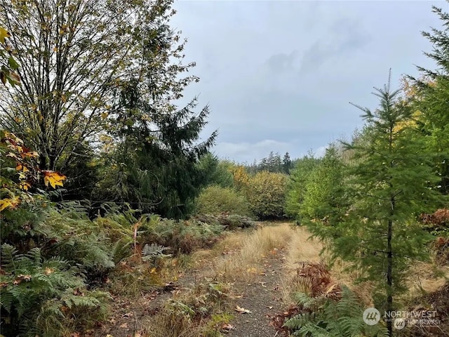 30ACRES Glenwood Rd SW, Port Orchard WA, 98367 land for sale