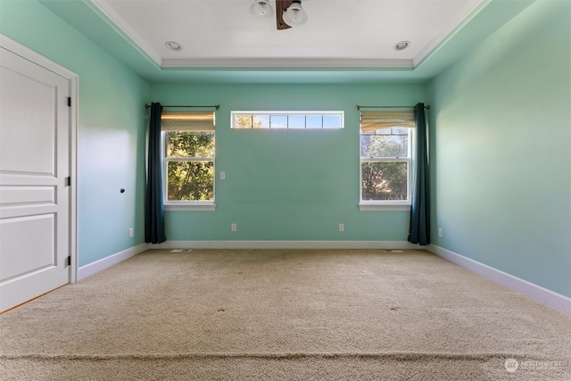 empty room featuring ornamental molding, carpet flooring, and a raised ceiling