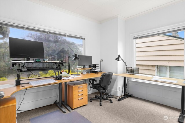 7543 15th Ave NW, Seattle, WA 98117 - photo 11