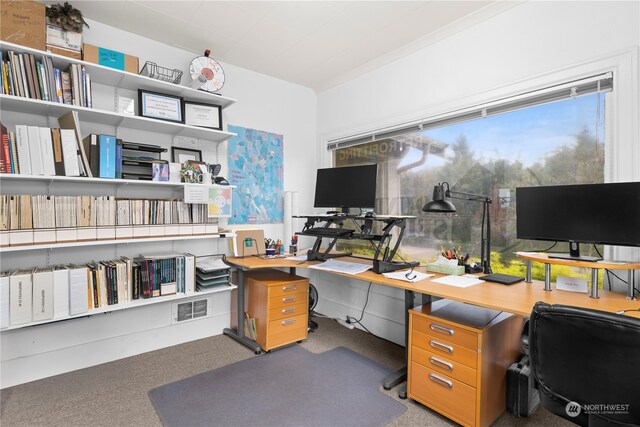 7543 15th Ave NW, Seattle, WA 98117 - photo 12