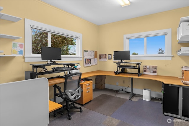 7543 15th Ave NW, Seattle, WA 98117 - photo 13