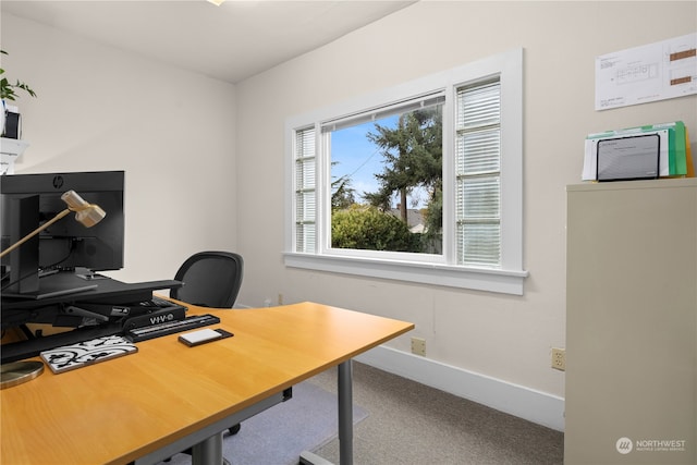7543 15th Ave NW, Seattle, WA 98117 - photo 15