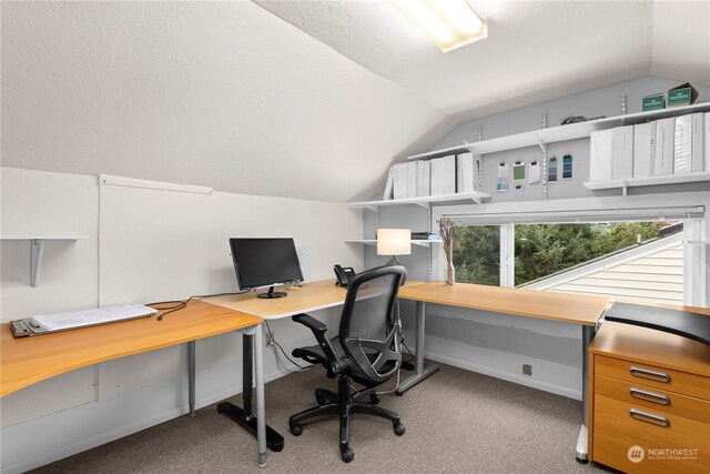 7543 15th Ave NW, Seattle, WA 98117 - photo 26