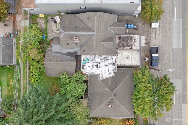 7543 15th Ave NW, Seattle, WA 98117 - photo 32