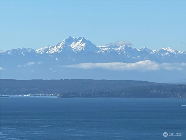 water view featuring a mountain view