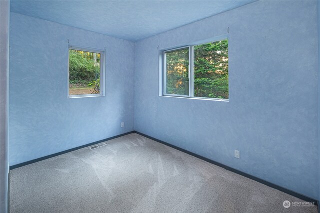 empty room featuring a textured ceiling and carpet floors