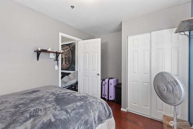 bedroom featuring dark hardwood / wood-style flooring, radiator heating unit, and a closet