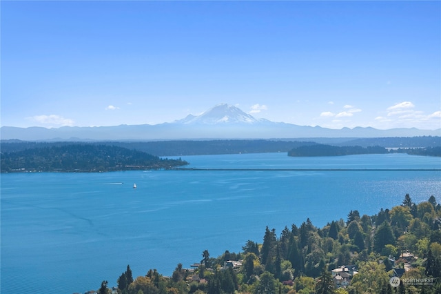 view of water feature with a mountain view