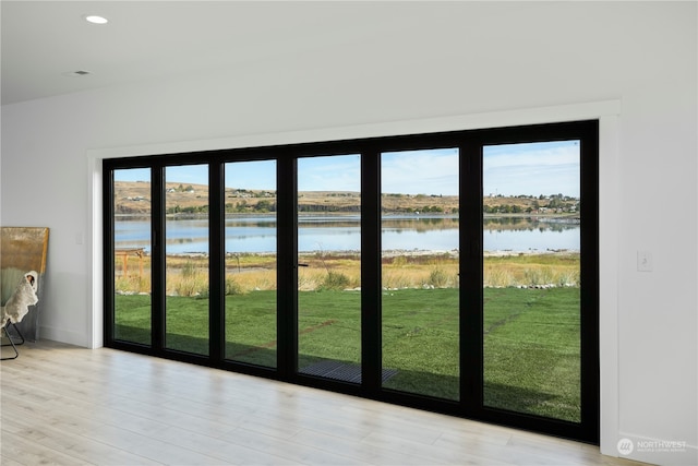 entryway with a water view, a healthy amount of sunlight, and light wood-type flooring