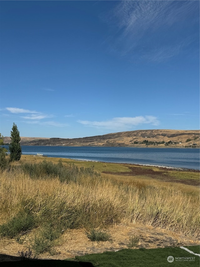 water view featuring a mountain view