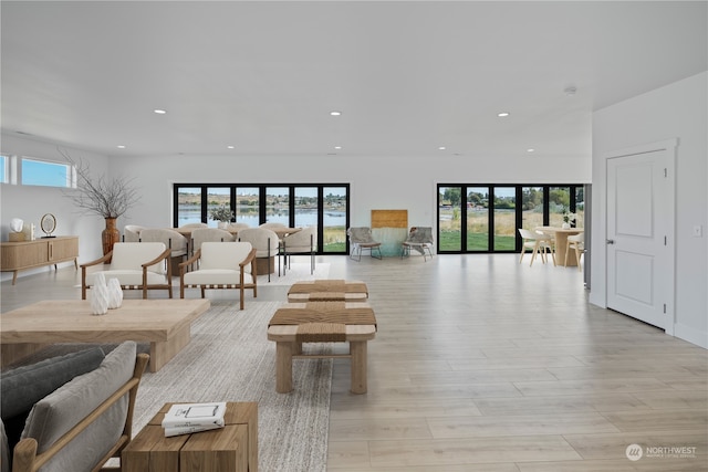 living room featuring light hardwood / wood-style floors