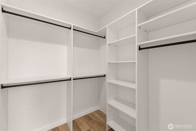 walk in closet featuring light wood finished floors
