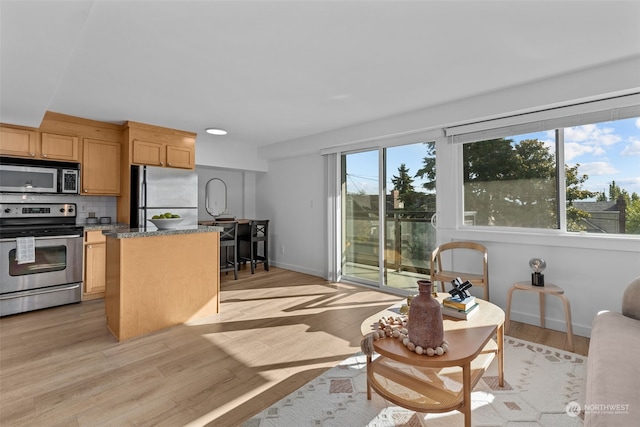 kitchen with stainless steel appliances, light wood-type flooring, and a wealth of natural light