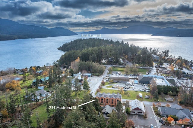 aerial view with a water and mountain view