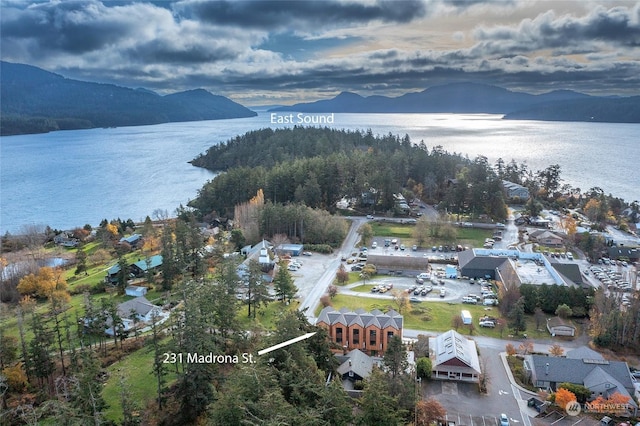 aerial view featuring a water and mountain view