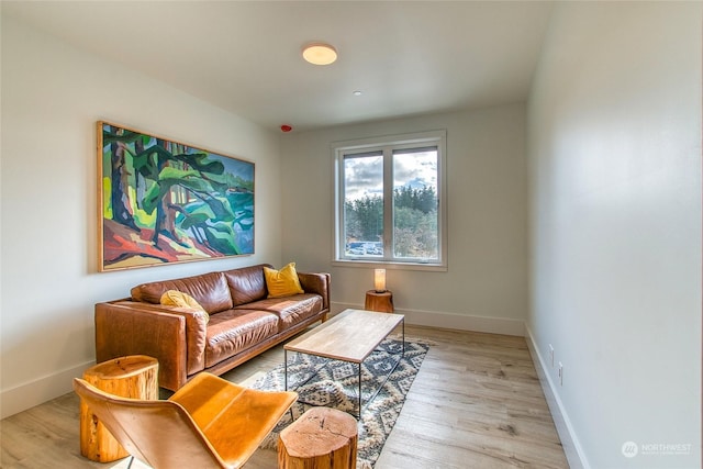 living room with light hardwood / wood-style flooring