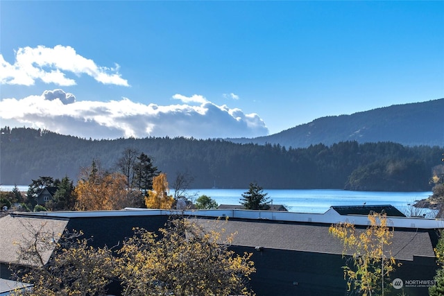 property view of mountains featuring a water view